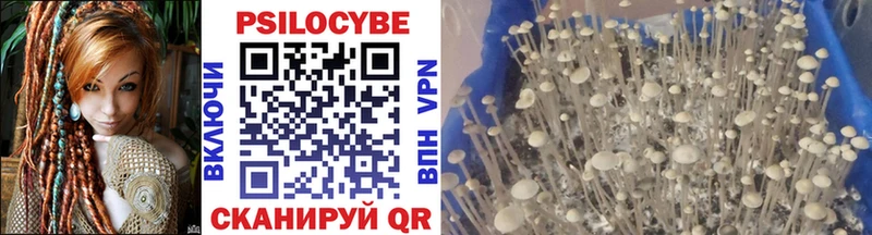 Галлюциногенные грибы Psilocybine cubensis  ОМГ ОМГ ONION  Володарск 